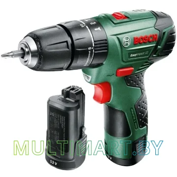 Ударная дрель-шуруповерт Bosch EasyImpact 12 06039B6101 (с 2-мя АКБ, кейс)